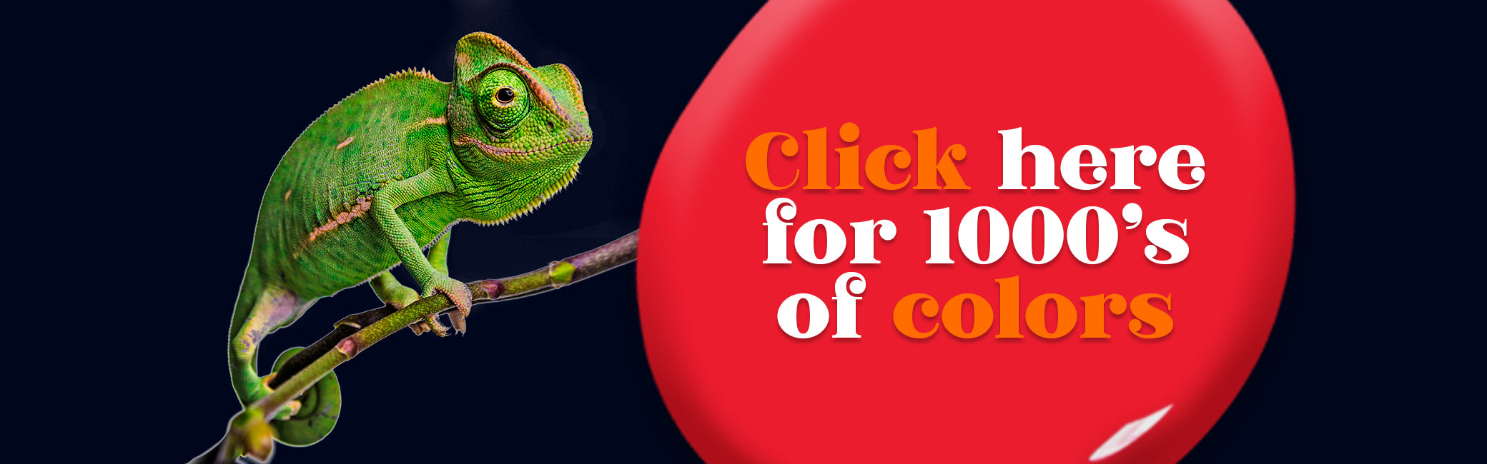 CHAMELEON_-_FEATURED_PRODUCT_12e107fc-b633-4722-bdfe-2fefe6764ab0.jpg