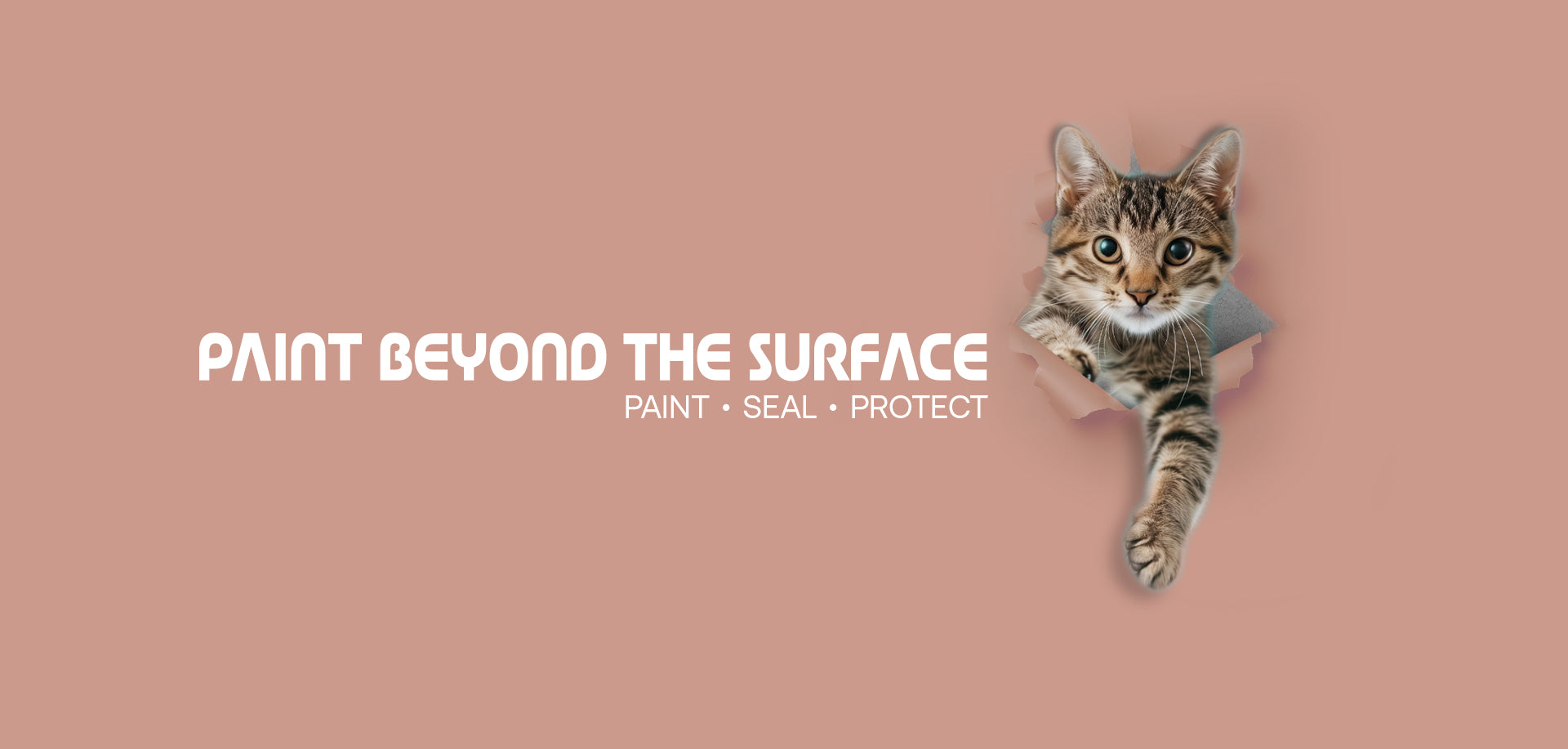 WEBSITE_BANNER-PAINT_BEYOND_THE_SURFACE-CAT_2.jpg