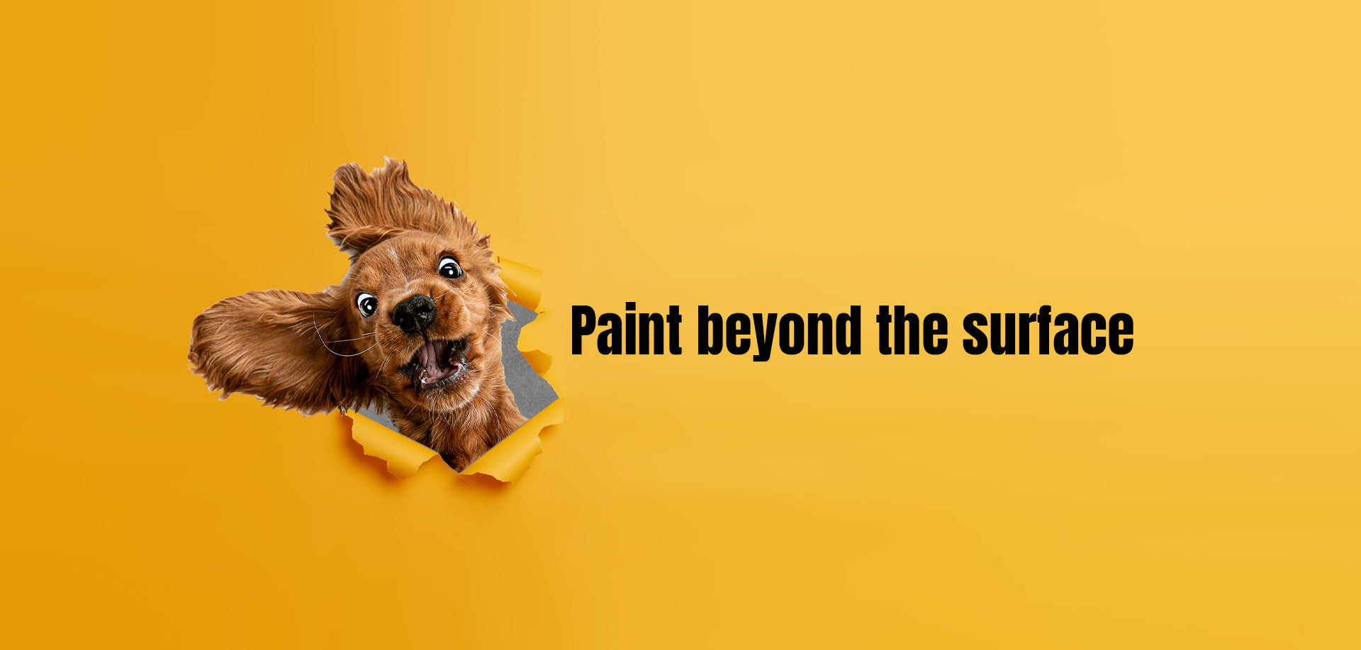 WEBSITE_BANNER-PAINT_BEYOND_THE_SURFACE.jpg