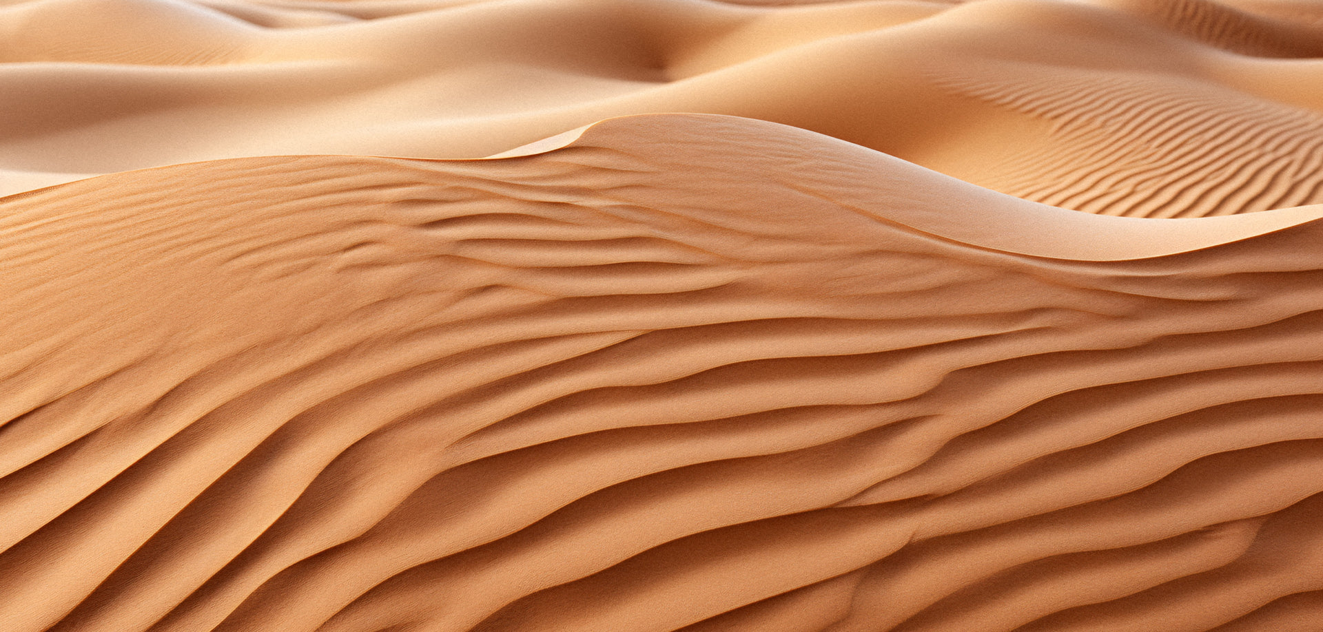 Color Transports You